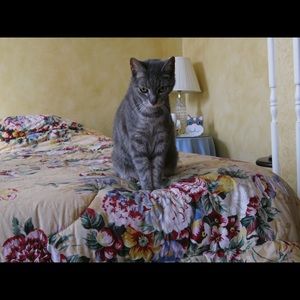 Meet your Posher, Pauline